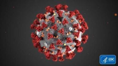 First Recombinant SARS-CoV-2 (COVID-19) Nucleocapsid Protein for Diagnostic Testing Launched